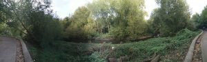 brookmillreach