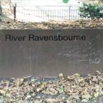 riverravensbourne